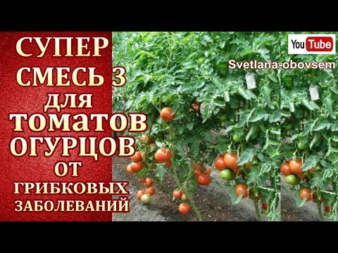 СУПЕР СМЕСЬ №1-в для ТОМАТОВ и ОГУРЦОВ от ФИТОФТОРЫ , АНТРАКНОЗА , ПЕРОНОСПОРОЗА +ПОДКОРМКА