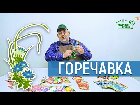 Горечавка, ее посадка и уход.