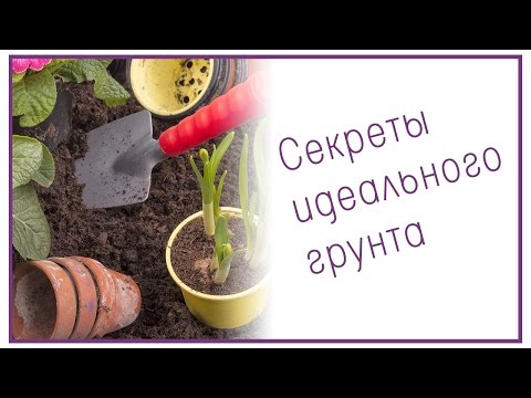 Секреты идеального грунта