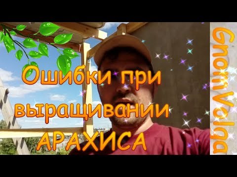 Ошибки при выращивании арахиса