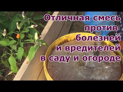 Отличная смесь против вредителей и болезней сада и огорода