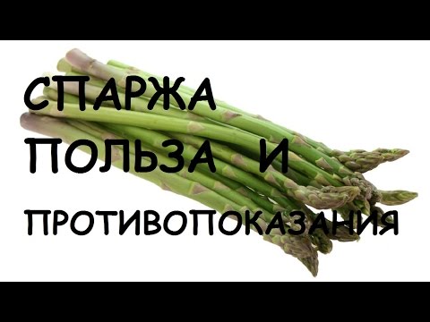 Спаржа. Польза и вред.