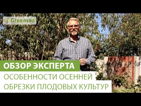 Особенности осенней обрезки плодовых культур