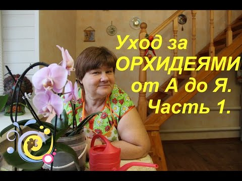 Уход за ОРХИДЕЯМИ от А до Я. Часть I. | PHALAENOPSIS ORCHID CARE.