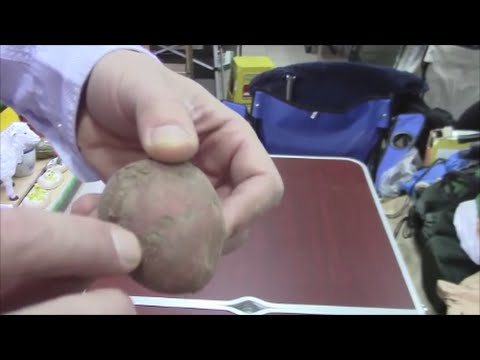 ТТ8 ПАРША на картофеле. Как бороться с паршей и др. грибковыми заболеваниями