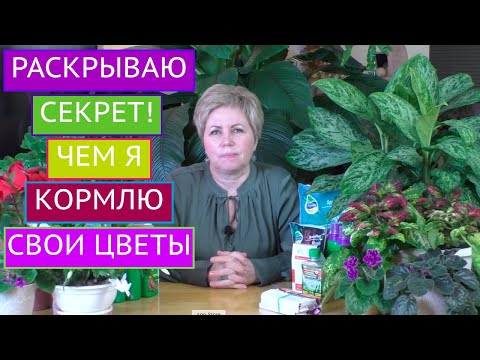 ЛУЧШИЕ ПОДКОРМКИ ДЛЯ ДОМАШНИХ ЦВЕТОВ! ПИТАТЕЛЬНЫЕ КОКТЕЙЛИ НА ЛЮБОЙ КОШЕЛЕК!