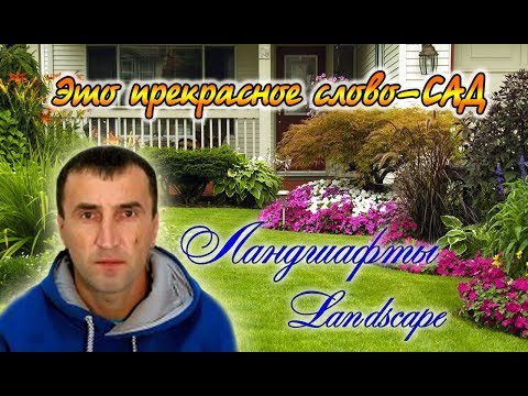 Катальпа. Способ размножения и выращивания