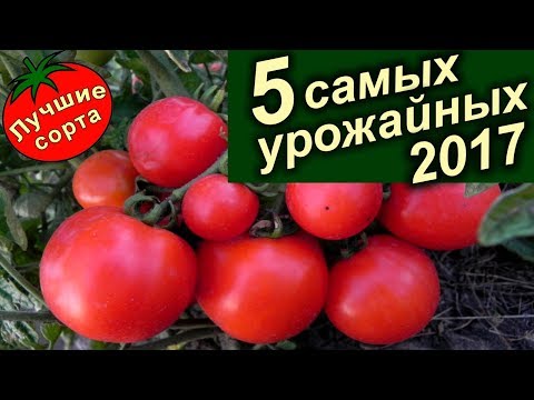 Самые Урожайные Семена Томатов 2017 (лучшие сорта томатов).