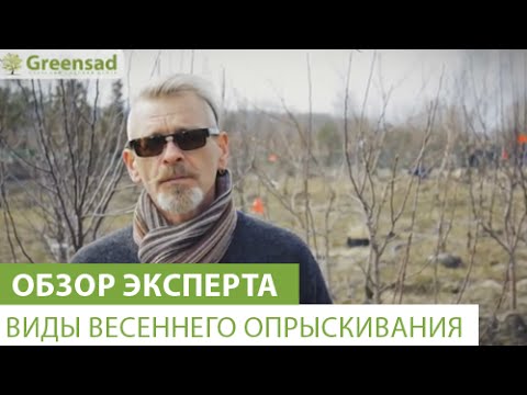 Виды весеннего опрыскивания