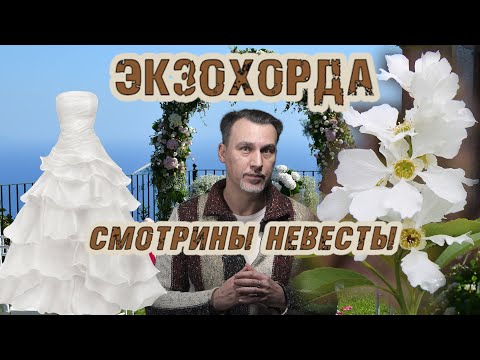 Экзохорда – растение для северо-запада, струноплодник, новинки &quot;Евро-плант&quot;, сорта