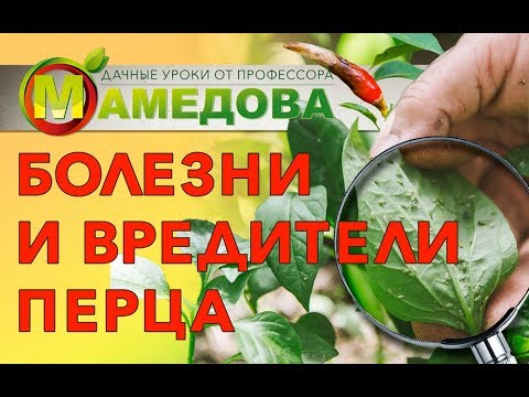 🔥 Болезни и Вредители ПЕРЦА СЛАДКОГО и ОСТРОГО