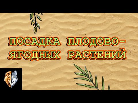 Правила посадки саженцев яблони, груши, вишени, слив.