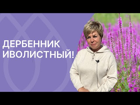 Такой многолетник украсит любой сад!