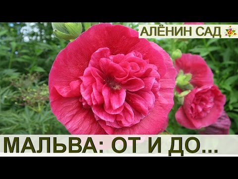 Металлические штучки для гурманов, или садовые украшения | Сады и цветы | Дзен