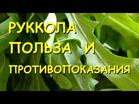 Руккола. Польза и вред.