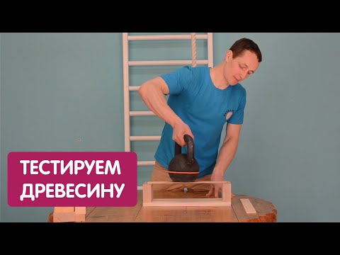 Какая древесина прочнее? Бук vs Сосна