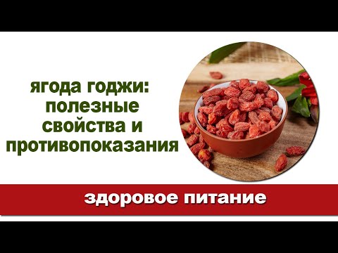 Вся правда о ягодах годжи / Полезные свойства и противопоказания