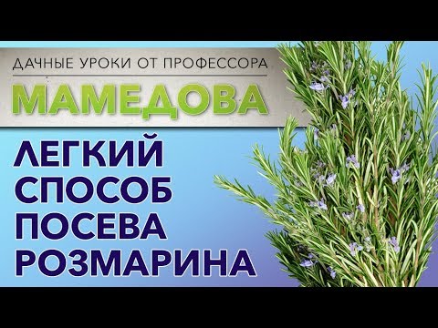 Легкий способ посева