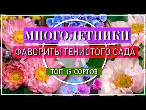 15 ЦВЕТУЩИХ МНОГОЛЕТНИКОВ Для ТЕНИ / ФАВОРИТЫ ТЕНИСТОГО САДА