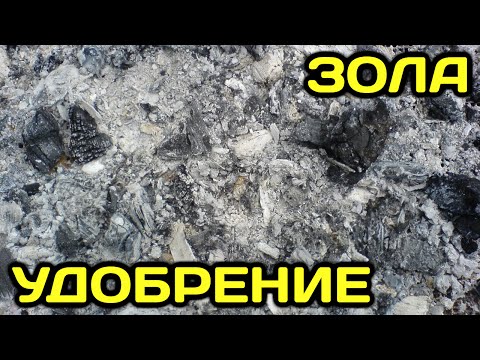 Как правильно использовать золу в качестве удобрения
