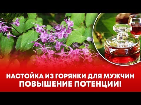 Настойка из горянки – повышение потенций народными средствами. Рецепт для укрепления мужской силы