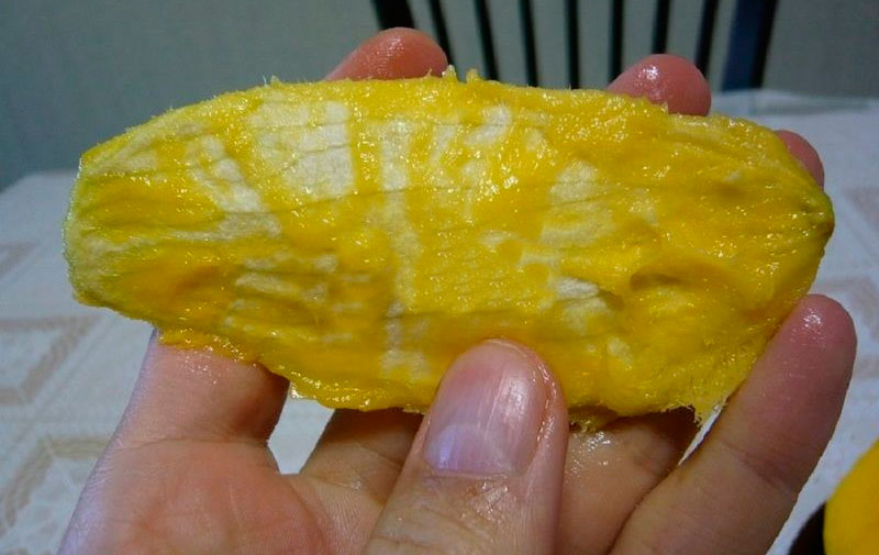 косточка манго что можно сделать