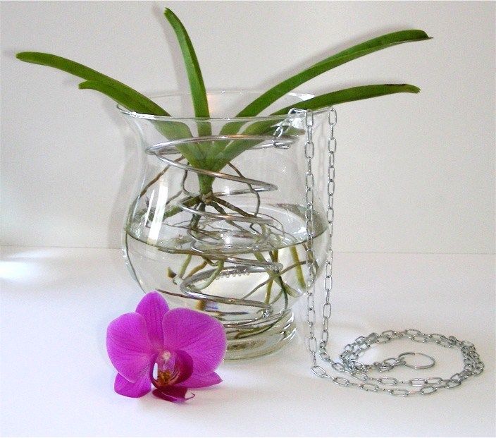 Орхидея в домашних условиях в воде. Горшок для Ванды.