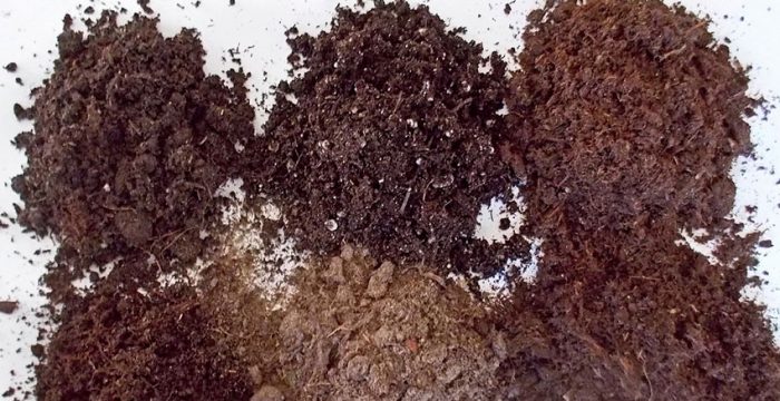 Почва для рассады петунии