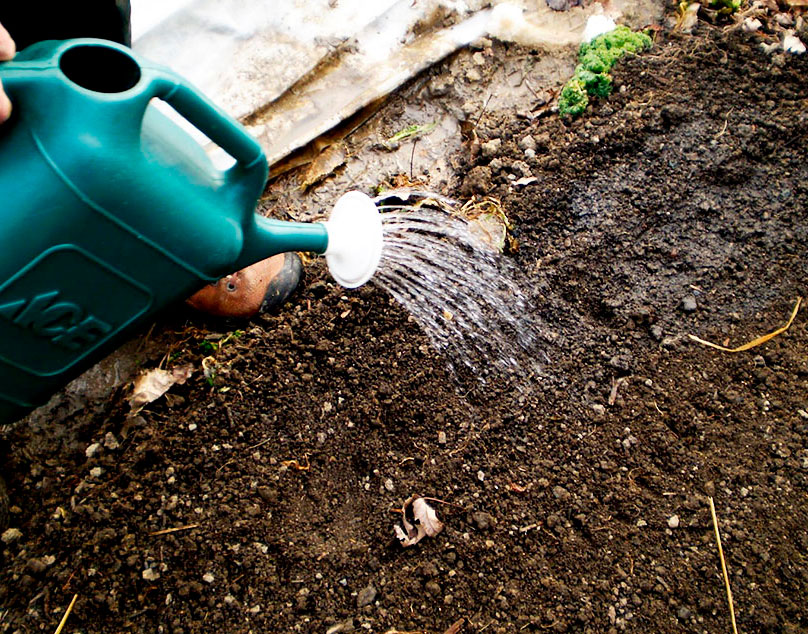 Обработка почвы весной перед посадкой. Обеззараживатель почвы. Дезинфекция почвы. Средство от вредителей в почве и мульче. Насыпная земля от вредителей.