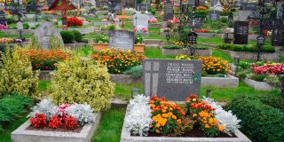 Цветы для кладбища